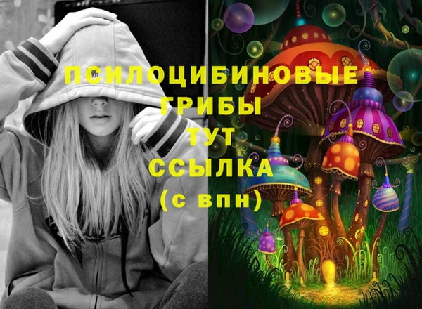 бошки Заводоуковск
