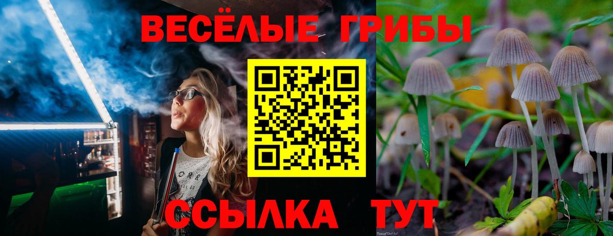 Галлюциногенные грибы Psilocybe  Вход с VPN  Саянск 